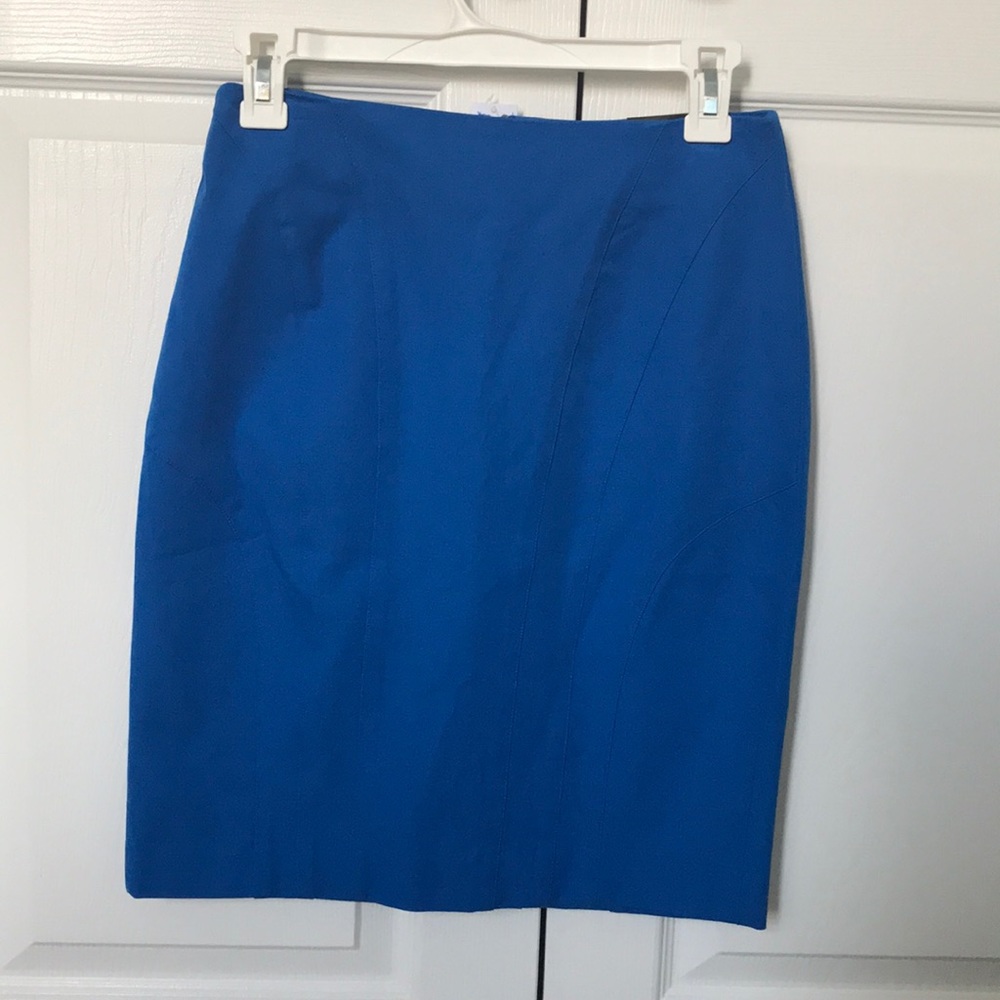 NWT Banana Republic blue seamed skirt